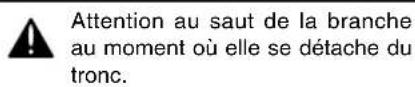 Zenoah G621AVS - Ebranchage d'un arbre abattu (F25) - 3