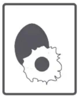 TELEFUNKEN TLL1209 - Tambour - 7