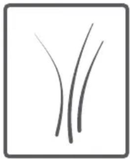 TELEFUNKEN TEL1206DDBA++ - Tambour - 11