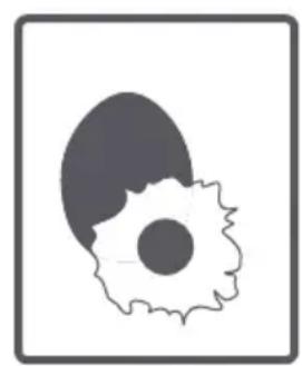 TELEFUNKEN TEL1206DDBA++ - Tambour - 7