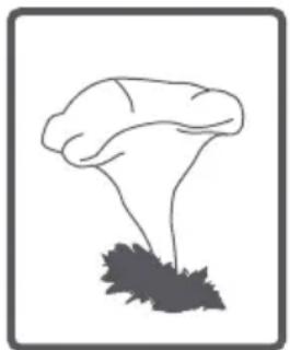 ATLANTIC A1208A+++ - Butée d'arrêt de débit - 18