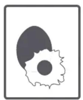 ATLANTIC A10075 - Tambour - 9