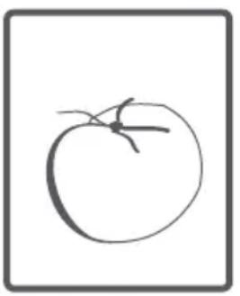 CONTINENTAL EDISON CELL510SI - Tambour - 8