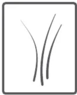 CONTINENTAL EDISON CELL510SI - Tambour - 13