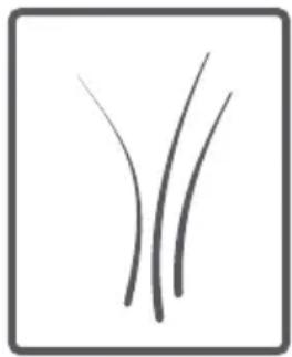 WALTHAM WT 1007 WAV 14 - Tambour - 11