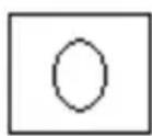 WALTHAM JUNDA 1206 BX WAV 10 - TAMBOUR - 5