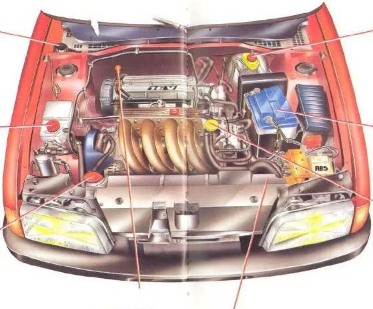 CITROEN ZX (1992) - Niveau, vérifications - 2