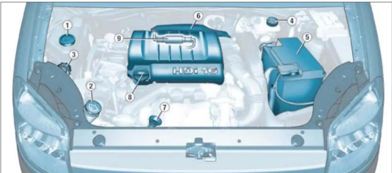 CITROEN Berlingo (1999) - MOTEUR DIESEL 1,9 LITRE - 1