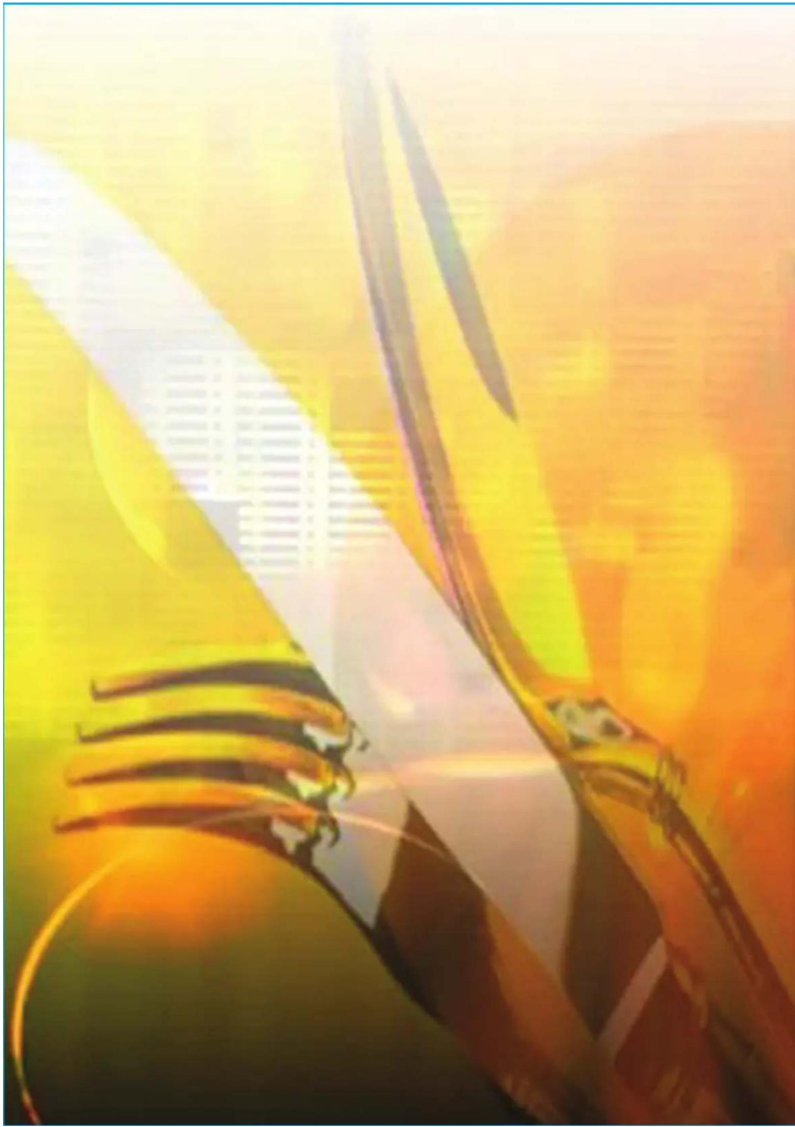 CALIFORNIA D80D20ETLRIIIDGG1 - Fonction refroidissement - 2