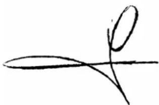 Sidamo DCP 25S - i. des gailletrous - b. P.7 - 41261 la chaussee-saint-victor - 1