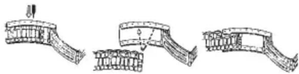 TIMEX Intelligent Quartz T2N721ZA - BRACELET A FERMOIR COULISSANT - 1