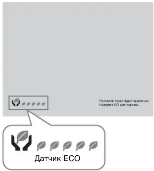 SONY VPLEX230 - Датунк ECO - 1