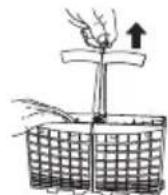 PROLINE FDP 49 ASLE - Comment utiliser le panier inférieur - 2