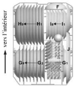 Galanz W45A1A401L - Chargement du panier inférieur - 1