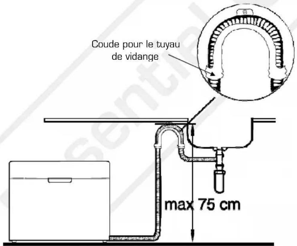 ESSENTIELB ELVC 531 - FasccodeneoiaIbeau - 3