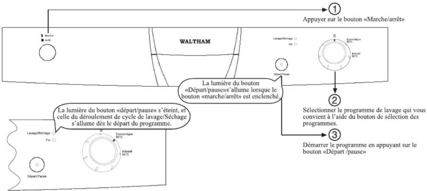 WALTHAM WT 1149 DBS - WALTHAM - 1