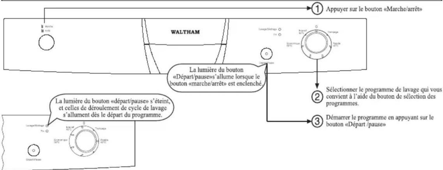 WALTHAM C 1352 DB - C 1352 DB - 2