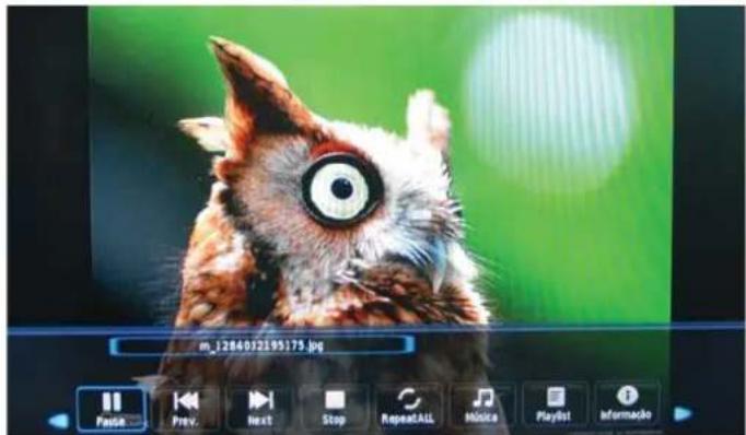 OKI B32FLED 1 - 1.Fotografia - 1