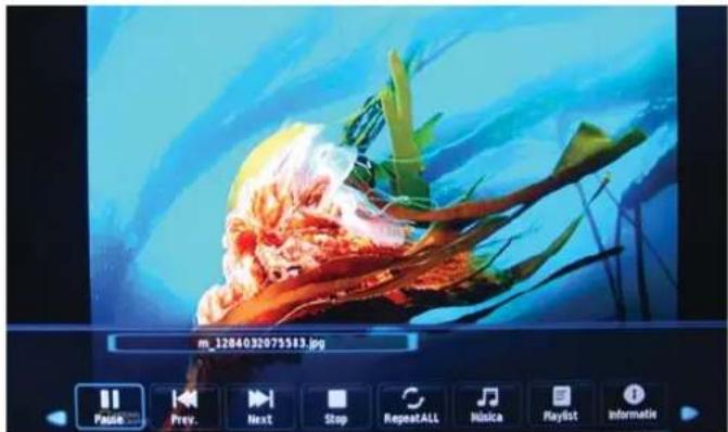 OKI B32FLED 1 - 1.Foto (Photo) - 1