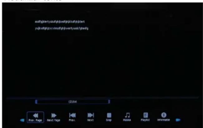 OKI B32FLED 1 - 4.Texto (Text) - 1