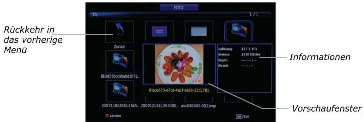 OKI B32FLED 1 - Allgemeine Bedienungshinweise - 3