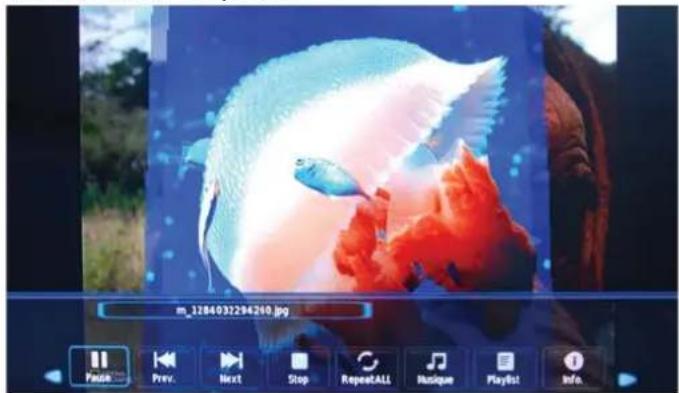 OKI B32FLED 1 - Photo - 1