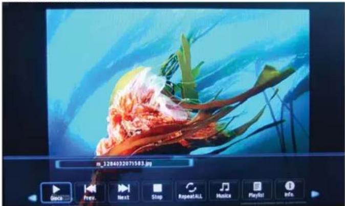 OKI B32FLED 1 - 1.Foto - 1