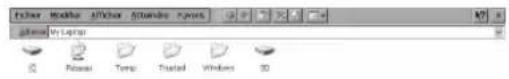 File Edit View Insert Modify Options My Laptop Format Temp Shift Windows