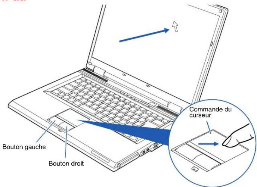 FUJITSU LifeBook V1010 - Pavé tactile TouchPad - 1