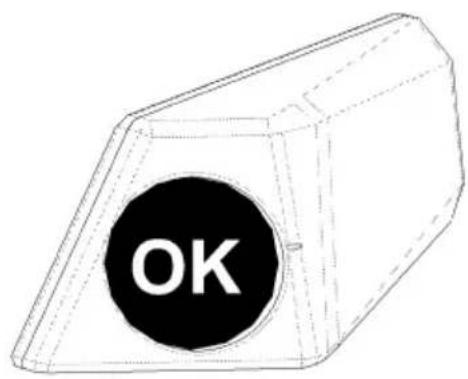 BAUMATIC BR241A - Indicateur de températe - 1