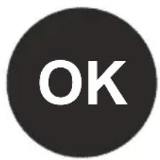 ATLANTIC ART1101BA+ - Indicateur de température - 2