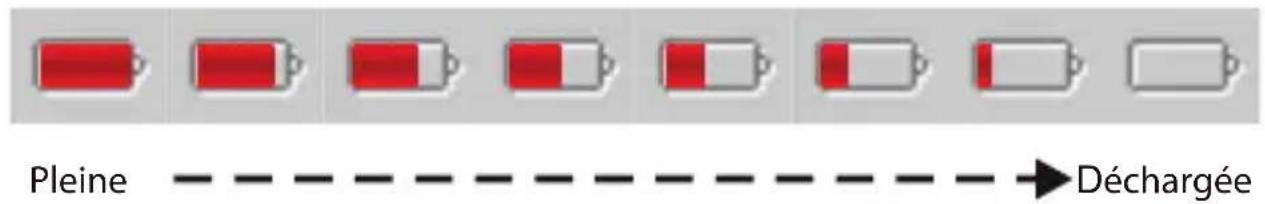 DANEW GS270 - Statut de la batterie - 1