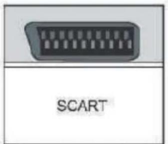 MPMAN TV190 - Connexion SCART - 1