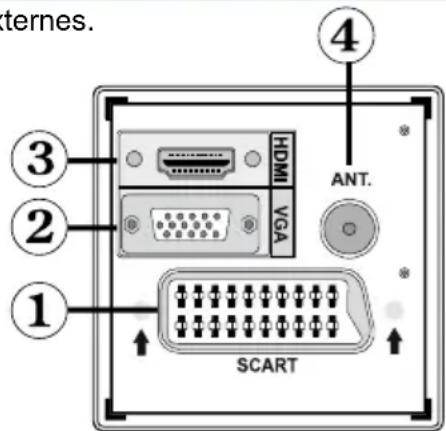 WALTHAM WT 2211 W PVR - Affichage des branchements - Connecteurs arrêté - 1