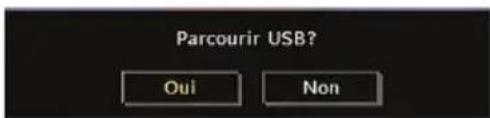 WALTHAM WT 2211 W PVR - Navigateur media - 1
