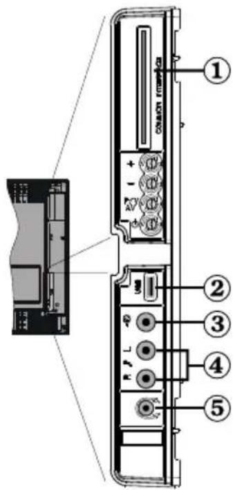 WALTHAM WT 2211 W PVR - Affichage des branchements - Connecteurs latéraux - 1