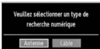 WALTHAM WL 1916 HDW 12 V - N.B: veillez à ce que l'antenne soit branchée et qu'un module d'interface commune ne soit pas insérée avant de mettre le téléviseur en marche pour la première fois. - 4