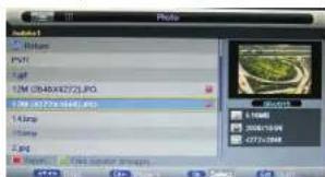 OCEANIC OCEADLEDLNH2152 - Gestionnaire de photos - 2