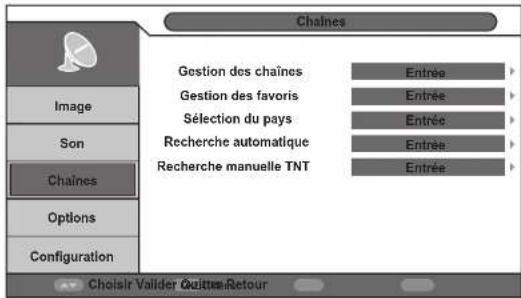 Chaines Gestion des chaînes Gestion des favoris Sélection du pays Recherche automatique Recherche manuelle TNT Entrée Entrée Entrée Entrée Entrée Image Son Chaînes Options Configuration Choisir Valider Quitter Retour