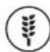 SOEHNLE Food Control Plus 65085 6 - AFFICHAGE DES VALEURS NUTRITIVES PENDANT LA PESEE - 2