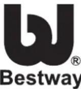BESTWAY BW56276 - Descrizione del problema - 6