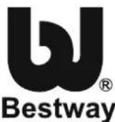 BESTWAY BW56273 - Descrizione del problema - 4