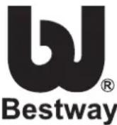 BESTWAY BW56266 - Descrizione del problema - 6