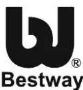 BESTWAY BW56242 - Descrizione del problema - 4