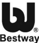 BESTWAY BW56242 - REQUIRED INFORMATION - PLEASE WRITE THE DELIVERY ADDRESS - 6