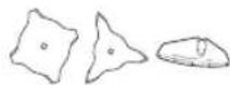 HUSQVARNA 533RS - Grasfreischneiden mit Grasklinge - 2