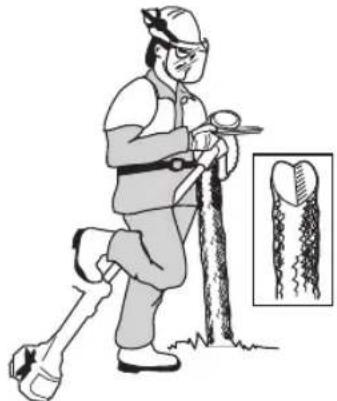 HUSQVARNA 533RS - Feilen der Sageklinge - 2
