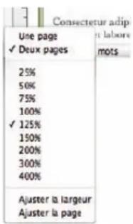 APPLE Pages 09 - Niveaux de zoom - 1