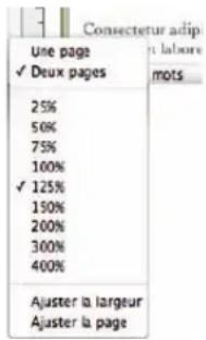 APPLE Pages 09 - Visualisation de pages opposées - 1
