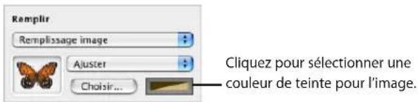 APPLE Pages 08 - Pour remplir un objet avec une image : - 3